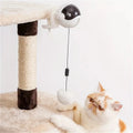Smart Automated Electric Lifting Ball Cat Toy - Interactive Hands-Free Play