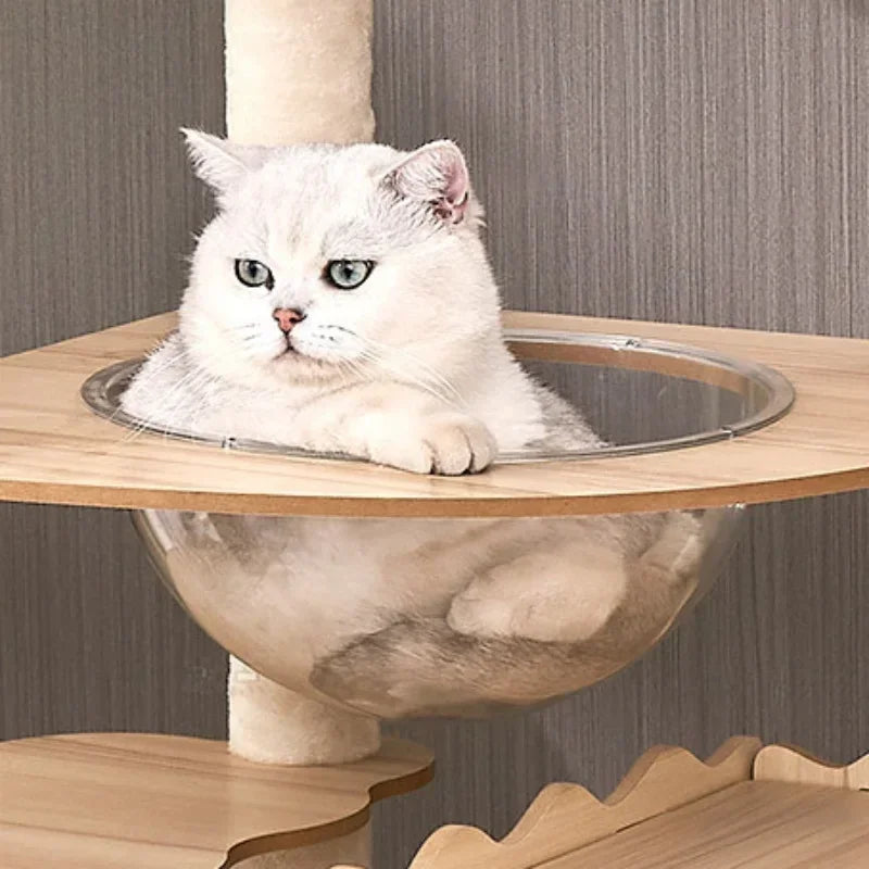Modern Wooden Cat Tree Tower with Clear View Space Pod & Cozy Dual Condos