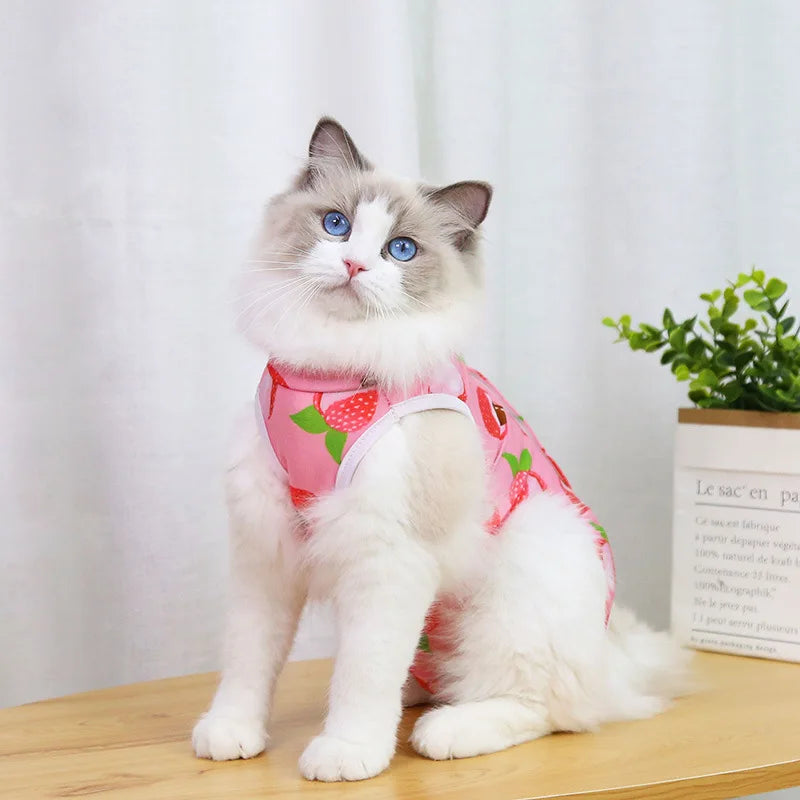 Cute Breathable Cat Surgery Recovery Suit - Anti-Lick Post-Op Protection Onesie
