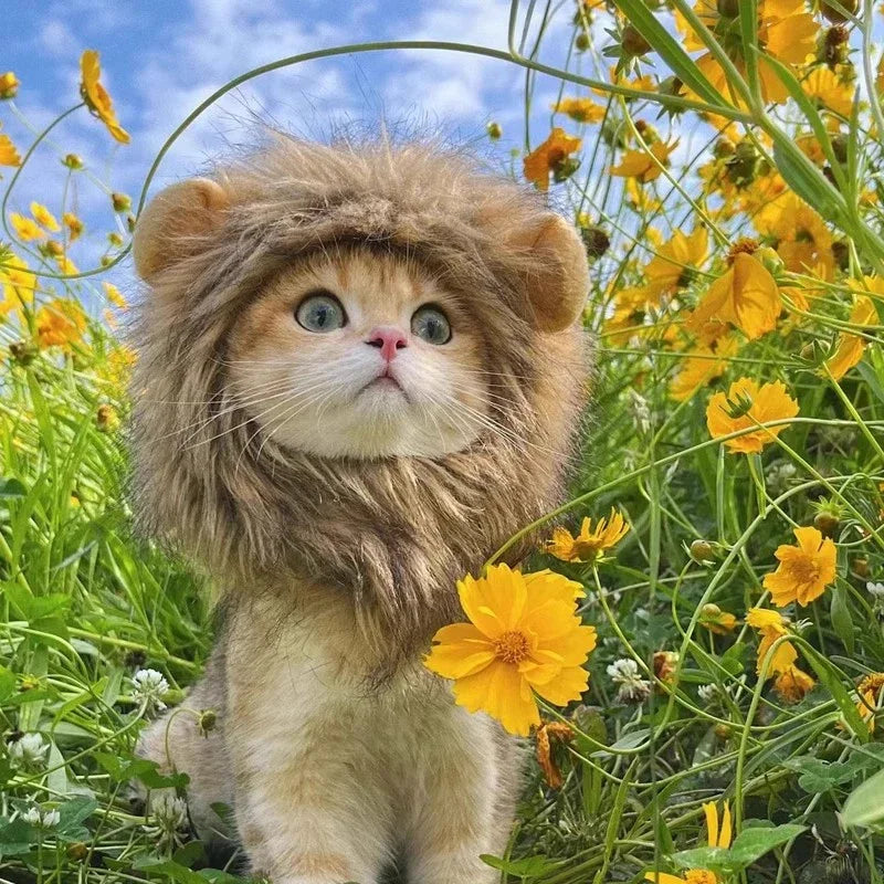 Majestic Lion Mane Cat Wig Hat - Adorable Pet Cosplay Costume with Ears
