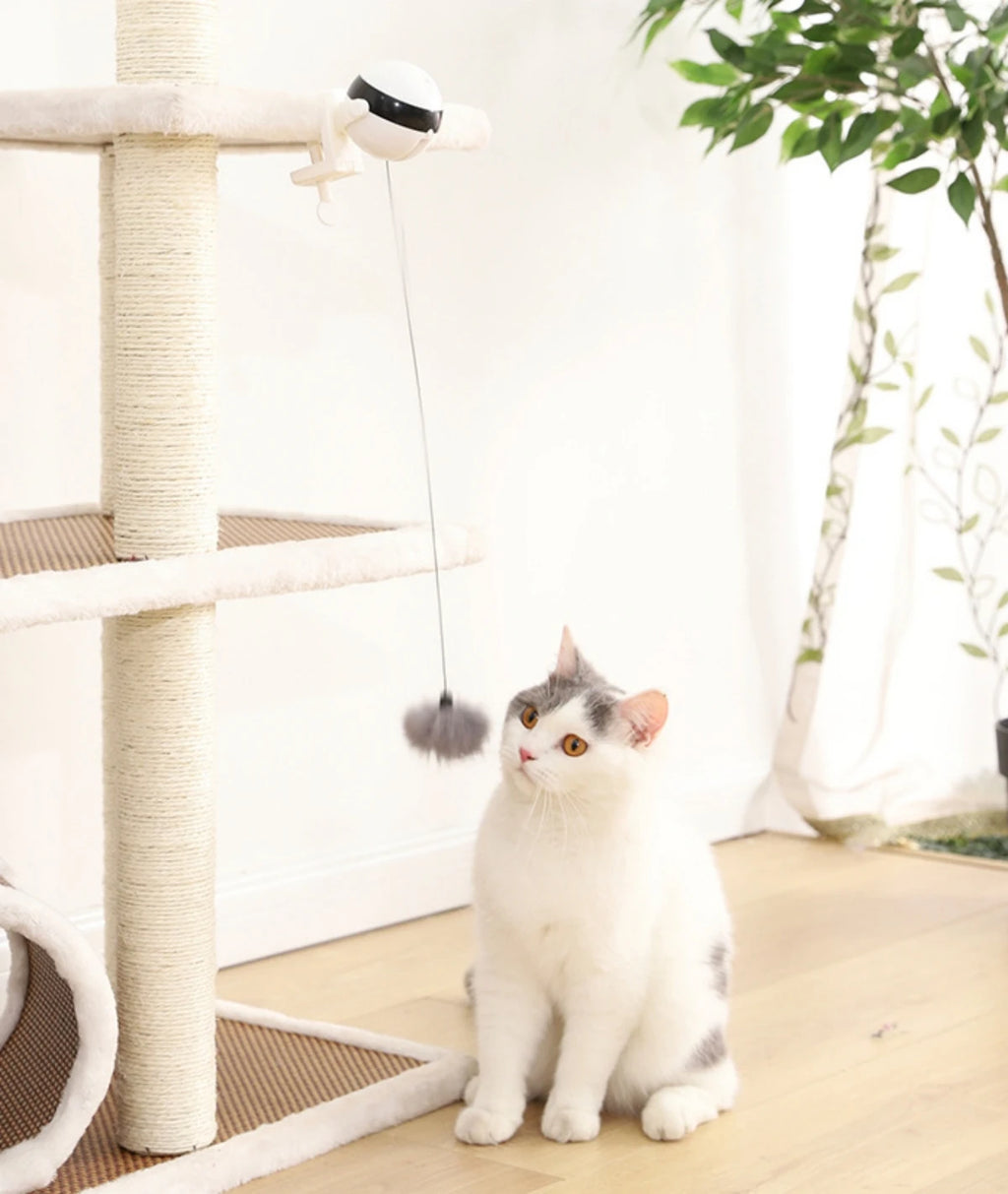 Smart Automated Electric Lifting Ball Cat Toy - Interactive Hands-Free Play