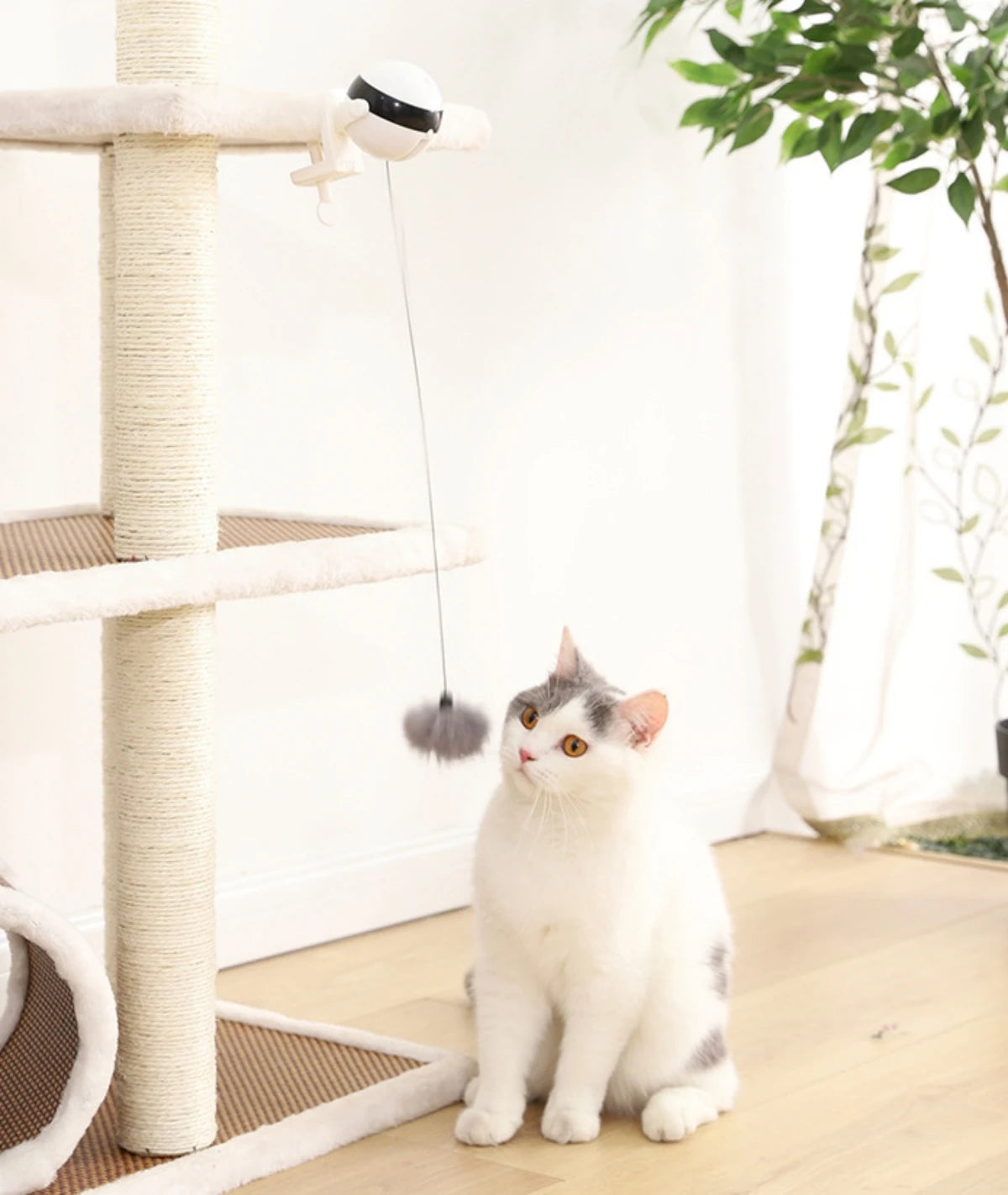 Smart Automated Electric Lifting Ball Cat Toy - Interactive Hands-Free Play