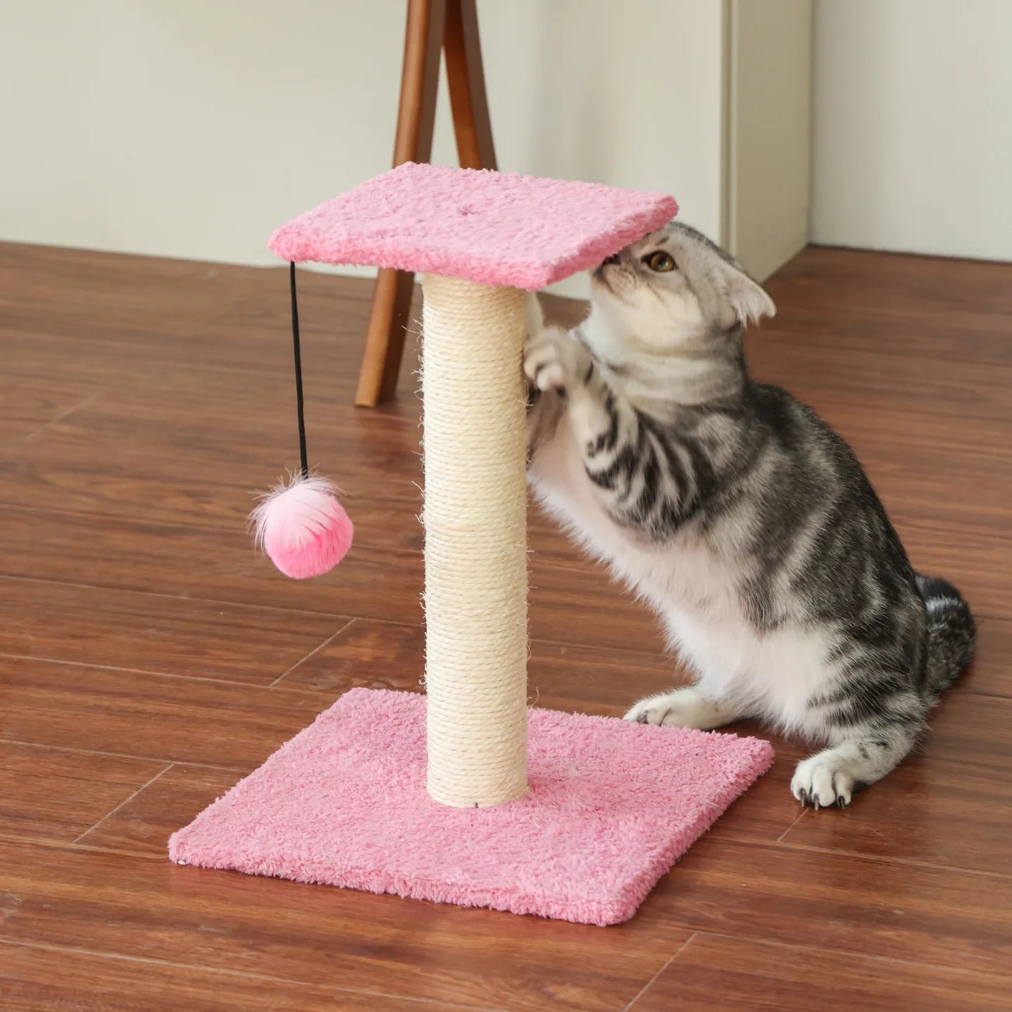 Agave Cactus Kitten Scratching Post with Teaser Toy