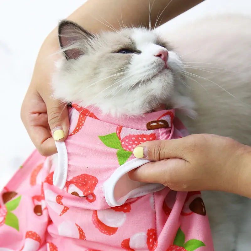Cute Breathable Cat Surgery Recovery Suit - Anti-Lick Post-Op Protection Onesie