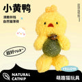Interactive Catnip Plush Character Toy | Self-Entertainment Dental Chew with Built-In Bell