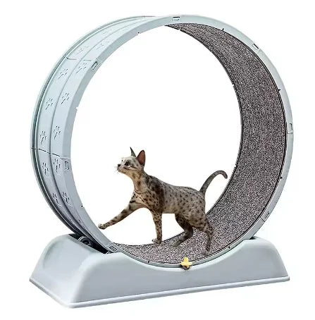 Cat Treadmill Silent Fitness Roller Anti Pinch Foot Exercise Running Wheel