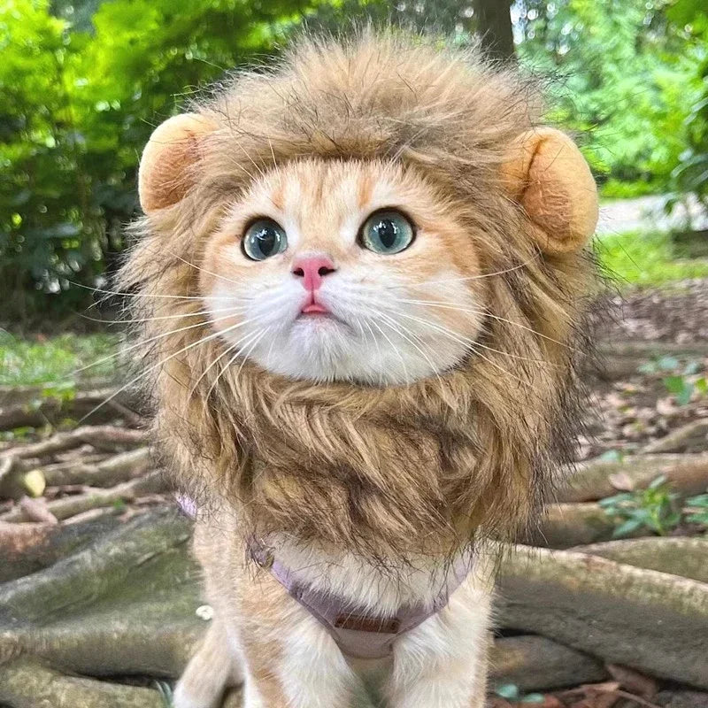 Majestic Lion Mane Cat Wig Hat - Adorable Pet Cosplay Costume with Ears