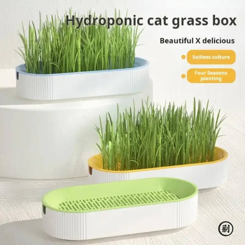 Soilless Hydroponic Cat Grass Planting Box