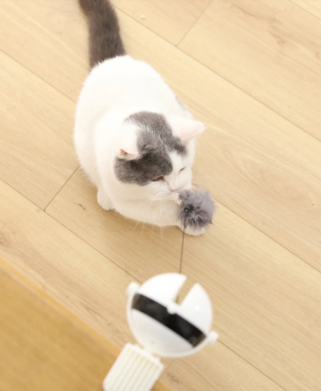 Smart Automated Electric Lifting Ball Cat Toy - Interactive Hands-Free Play