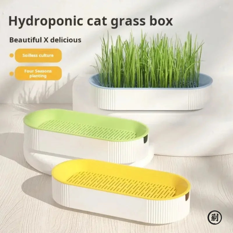 Soilless Hydroponic Cat Grass Planting Box