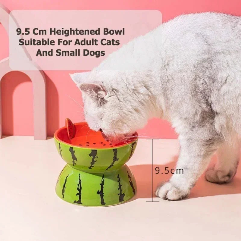 Cute Slanted Ceramic Fruit Pet Bowl