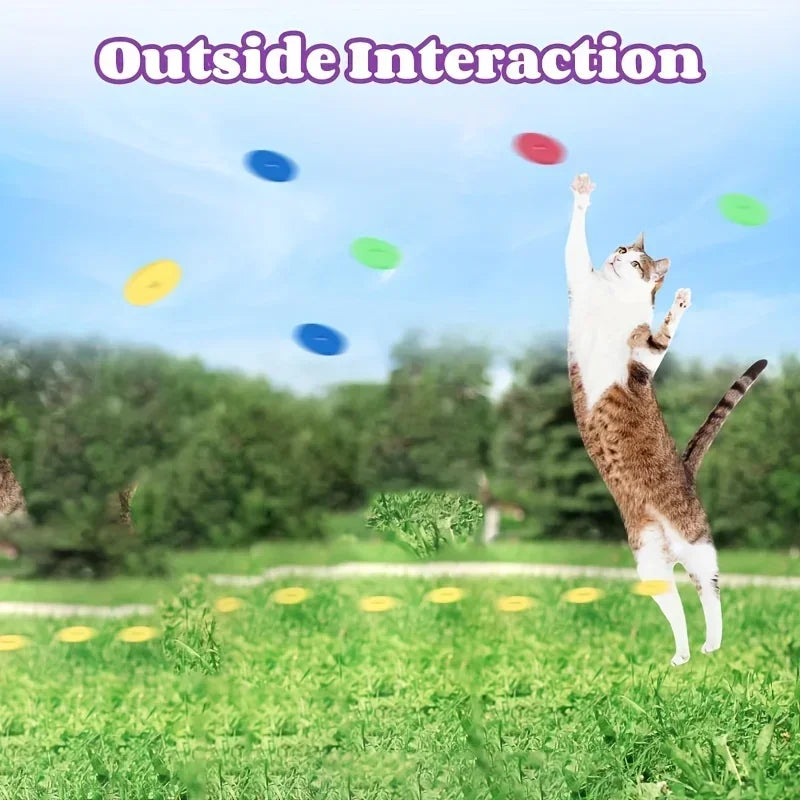 Interactive Flying Disc Cat Launcher | 16-Piece Pet Agility & Fetch Toy Set