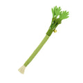 Interactive Felt Catnip Molar Stick | Dental Care & Squeaky Cat Chew Toy