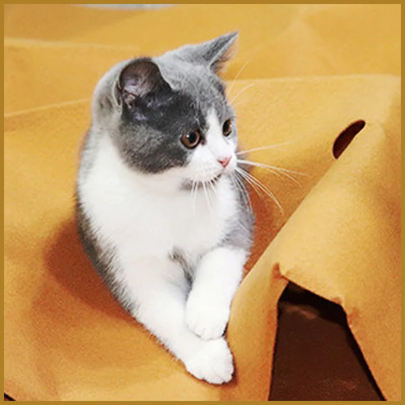 ProwlPad™ Interactive Cat Burrowing & Agility Training Mat