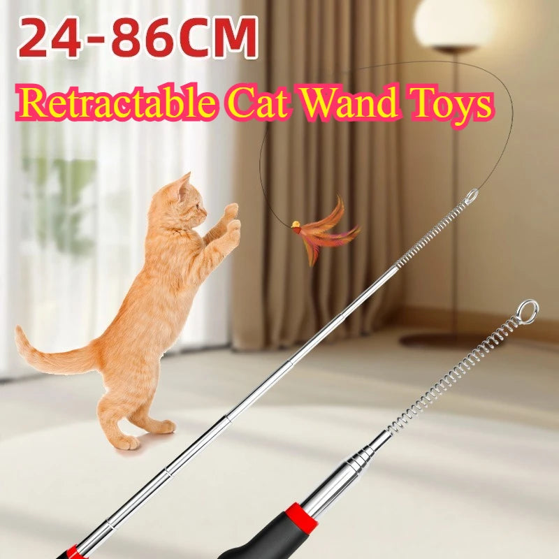 Retractable Heavy-Duty Kitten Teaser Wand with Replaceable Feathers