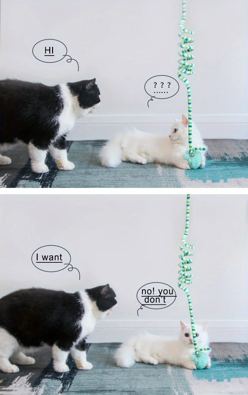 BungeeBounce™ Doorway Slinky & Interactive Hanging Cat Toy