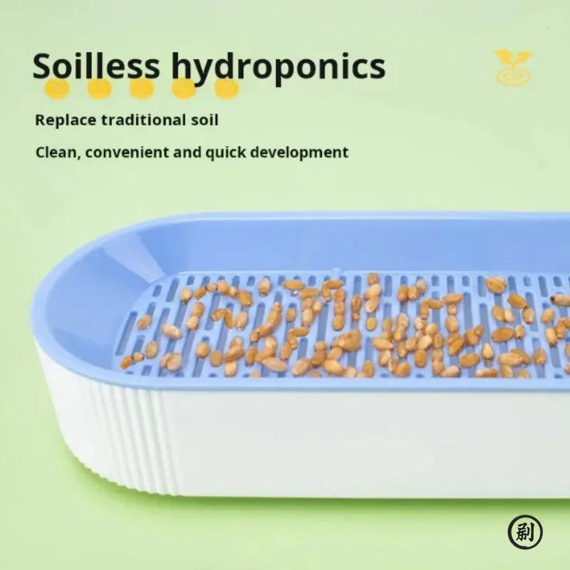 Soilless Hydroponic Cat Grass Planting Box