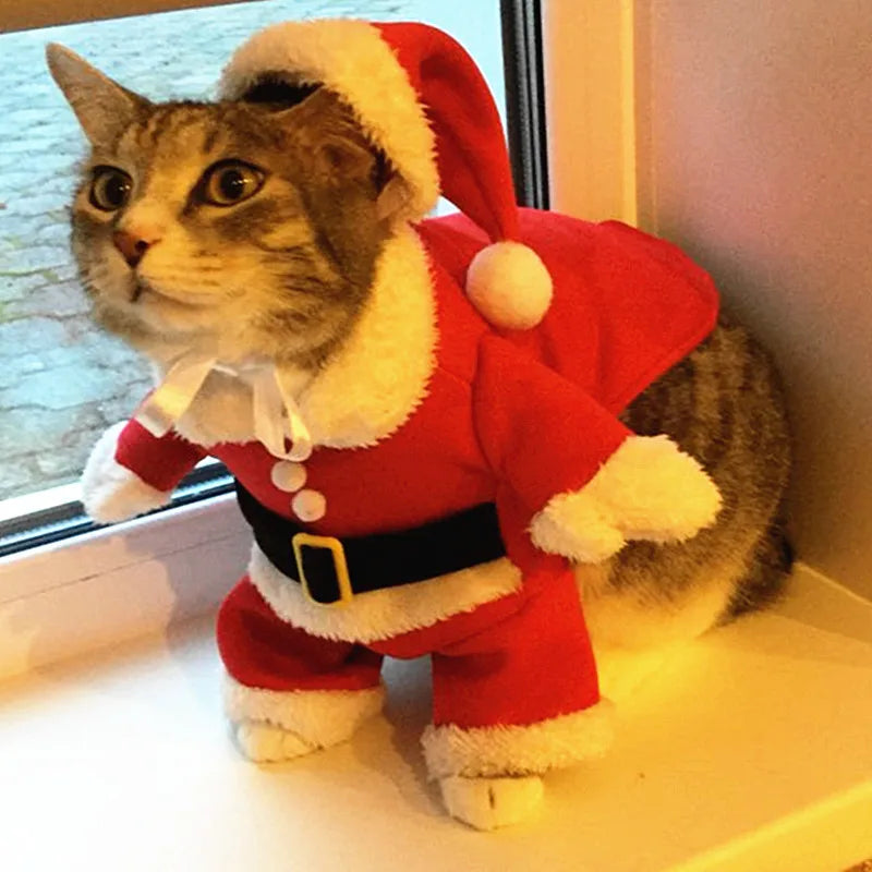 Santa Paws Deluxe Christmas Pet Costume