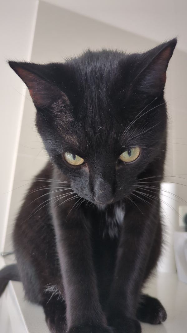 Barry